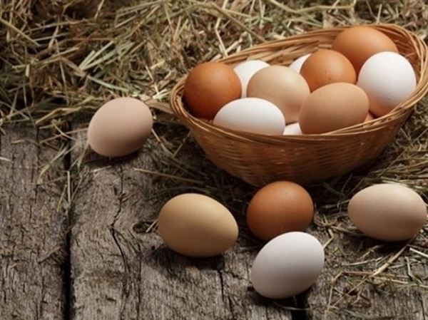 Mơ thấy trứng là điềm báo gì, đánh con số mấy dễ trúng?